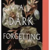 A Dark Forgetting