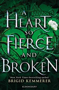 A Heart So Fierce and Broken