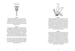 Ancient Egyptian Hieroglyphs Illustrated