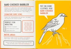 An Illustrated Guide to Birds that Sound like Insults