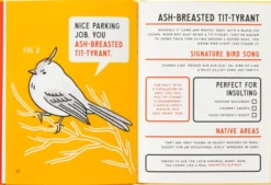 An Illustrated Guide to Birds that Sound like Insults