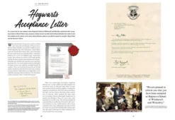 Artifacts of the Wizarding World