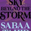 A Sky Beyond the Storm