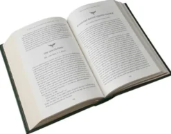 A Treasury of Irish Fairy and Folk Tales