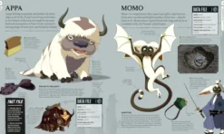 Avatar The Last Airbender Visual Dictionary