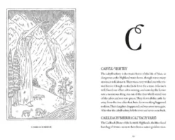 Briggs's Dictionary of Fairies: Banshees, Boggarts and Other Folklore Creatures