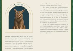 Cat Gods, Goddesses, Deities, and Demons Guide to Feline Folklore and Mythology