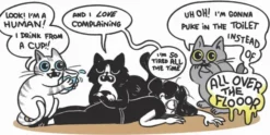 Cat People: A Cat's Guide To Caring For Your Human