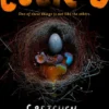 Cuckoo