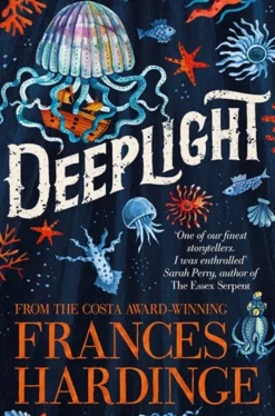 Deeplight