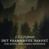 Det främmande barnet och andra sällsamma historier