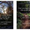 Disappointing Affirmations - Unfollow your dreams!