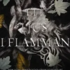 Ett ljus i flamman