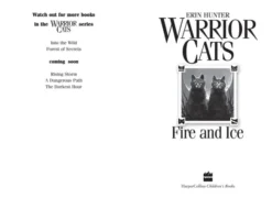 Fire and Ice - Warriors Book 2