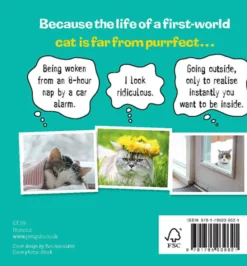 First World Cat Problems