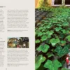 Ghiblipedia - A Guide to the Creatures, Characters and Creators of Studio Ghibli