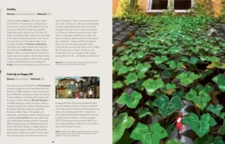 Ghiblipedia - A Guide to the Creatures, Characters and Creators of Studio Ghibli