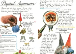 Gnomes