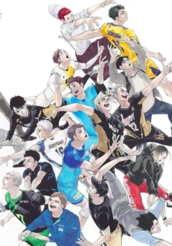 Haikyuu! 10th Chronicle Art Book
