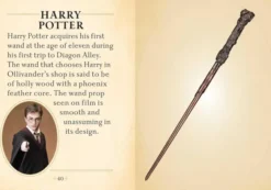 Harry Potter: The Mini Book of Wands