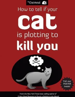 How to Tell If Your Cat Is Plotting to Kill You