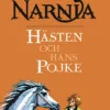 Hästen och hans pojke
