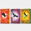 Hunger Games Deluxe Paperback Box Set