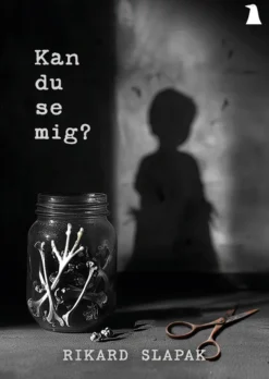 Kan du se mig?