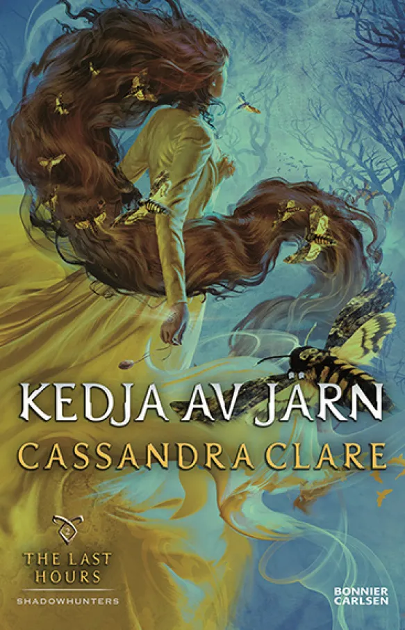 Kedja av järn