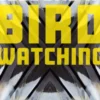 Lessons in Birdwatching