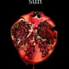 Midnight Sun