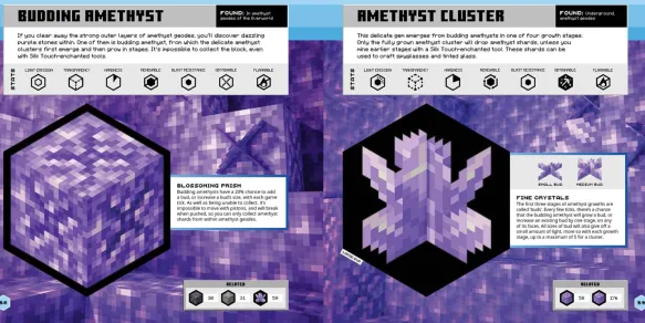Minecraft Official Blocks Guide