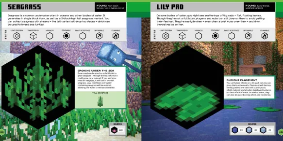 Minecraft Official Blocks Guide