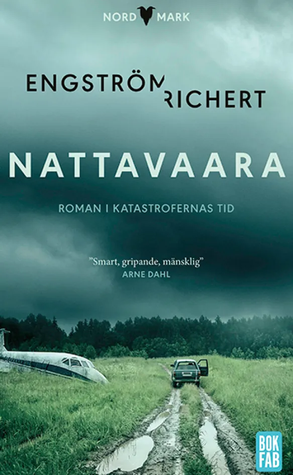 Nattavaara