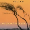 Nidamörkur