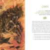 Norse Mythology: The Gods, Goddesses, and Heroes Handbook