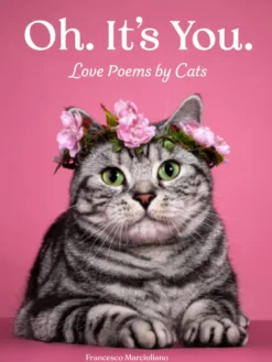 Oh, It's You - Love Poems by Cats