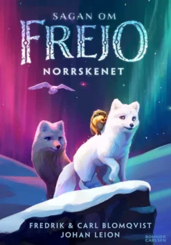Sagan om Frejo - Norrskenet