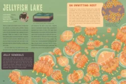 Spooky Lakes - 25 Strange and Mysterious Lakes that Dot Our Planet