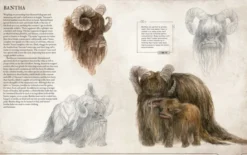 Star Wars Bestiary Vol. 1 - Creatures of the Galaxy