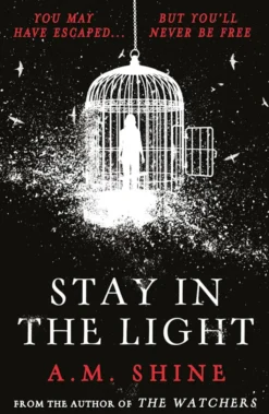 Stay in the Light