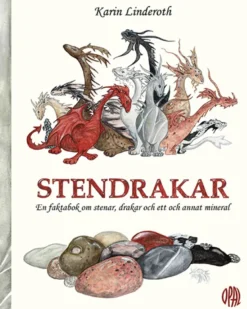 Stendrakar : en faktabok om stenar, drakar och ett och annan mineral