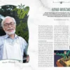 Studio Ghibli Dream Artists