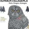 Superintelligence: Paths, Dangers, Strategies