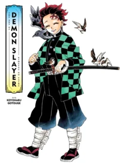 The Art of Demon Slayer Kimetsu no Yaiba