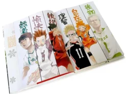 The Art of Haikyu!!: Endings and Beginnings