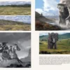 The Art of The Lord of the Rings: The War of the Rohirrim