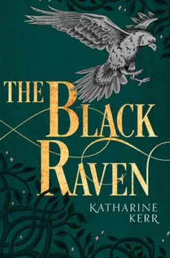 The Black Raven