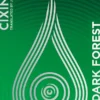 The Dark Forest