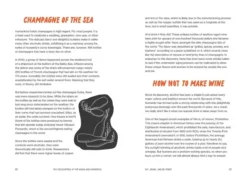 The Encyclopedia of the Weird and Wonderful